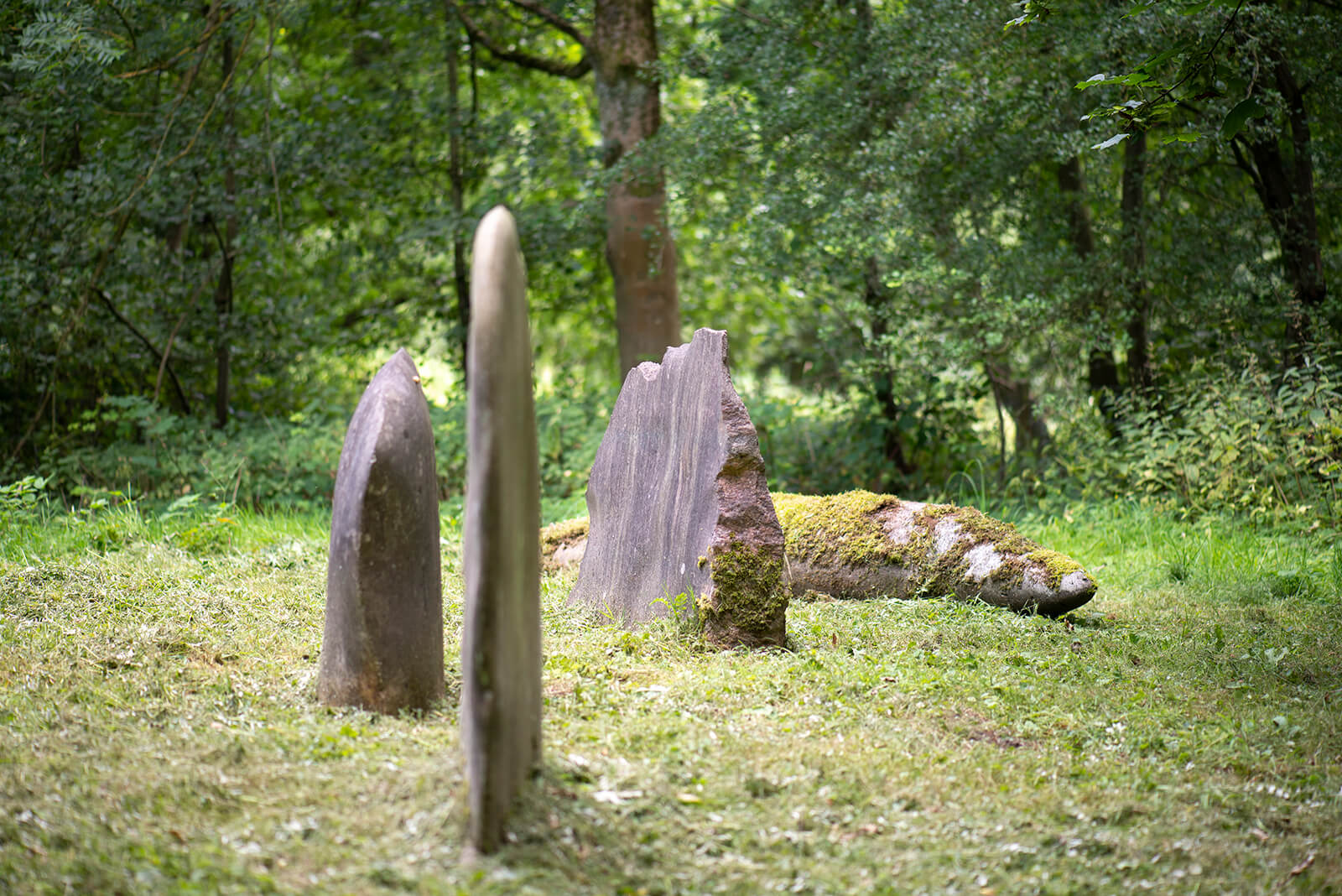 Leo Kornbrust: Organische Formen aus Stein (Foto: KUNST@SH/Jan Petersen, 2019)