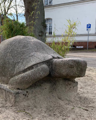 Klaus Kütemeier: Schildkröte (Foto: Hilke Oberländer, 2019)