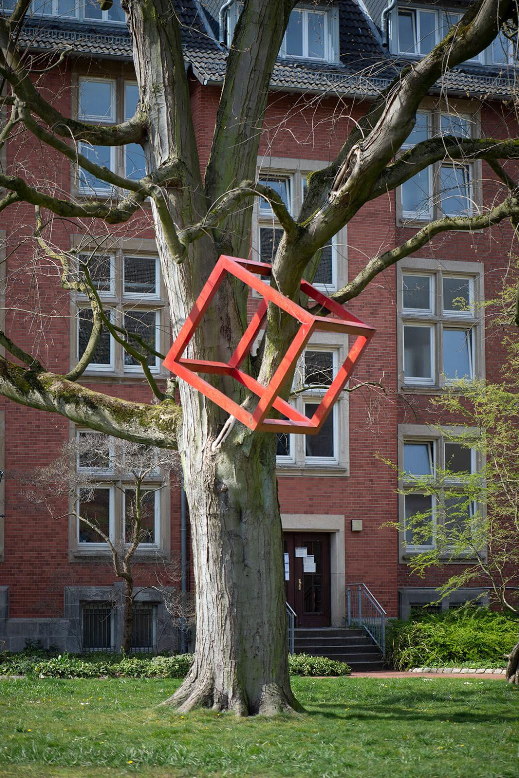 HD Schrader: Cube + Tree (Foto: KUNST@SH/Jan Petersen, 2020)
