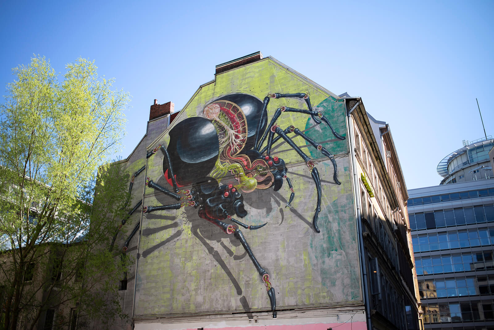 Nychos: Schwarze Witwe (Foto: KUNST@SH/Jan Petersen, 2020)