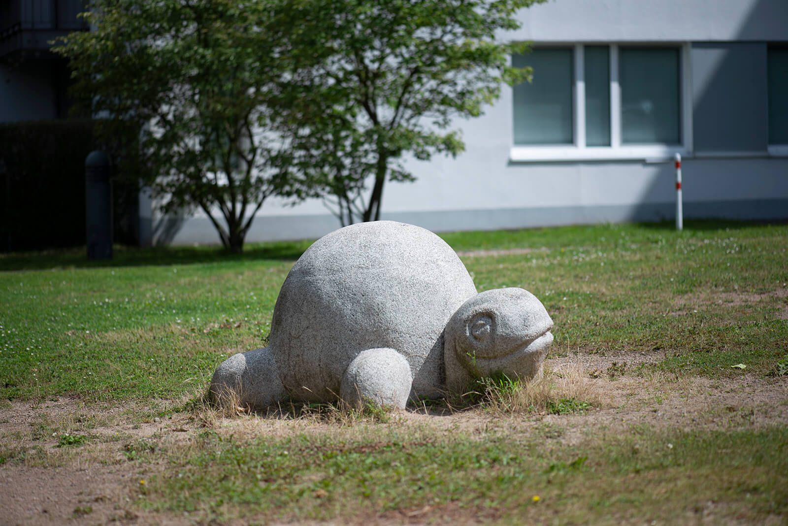 Schildkröte (Foto: KUNST@SH/Jan Petersen, 2020)