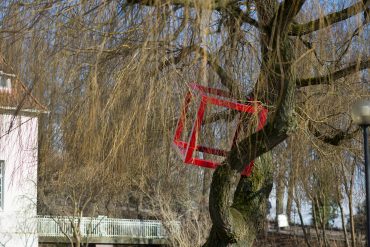 HD Schrader: Cube+Tree (Foto: KUNST@SH/Jan Petersen, 2018)