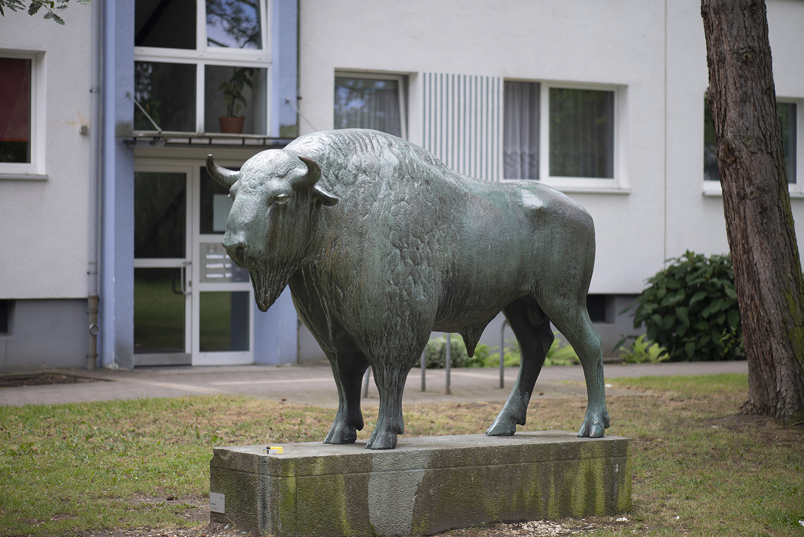 Kurt Bauer: Wisent (Foto: KUNST@SH/Jan Petersen, 2021)