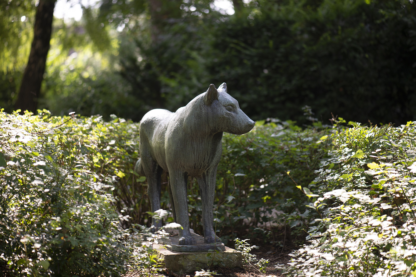 Kurt Bauer: Wolf (Foto: KUNST@SH/Jan Petersen, 2021)