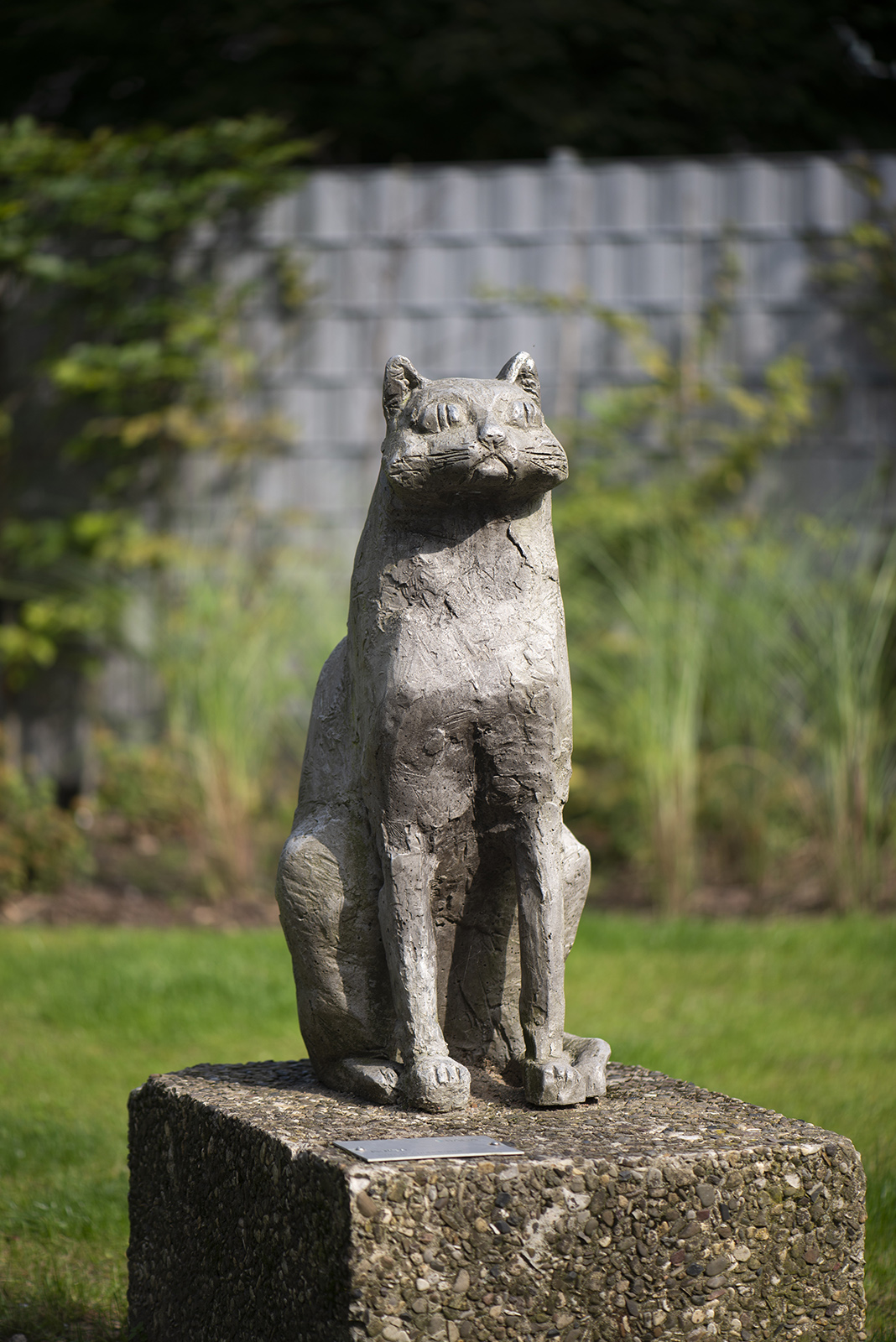 Veronika Schlüter-Stoll: Katze (Foto: KUNST@SH/Jan Petersen, 2021)