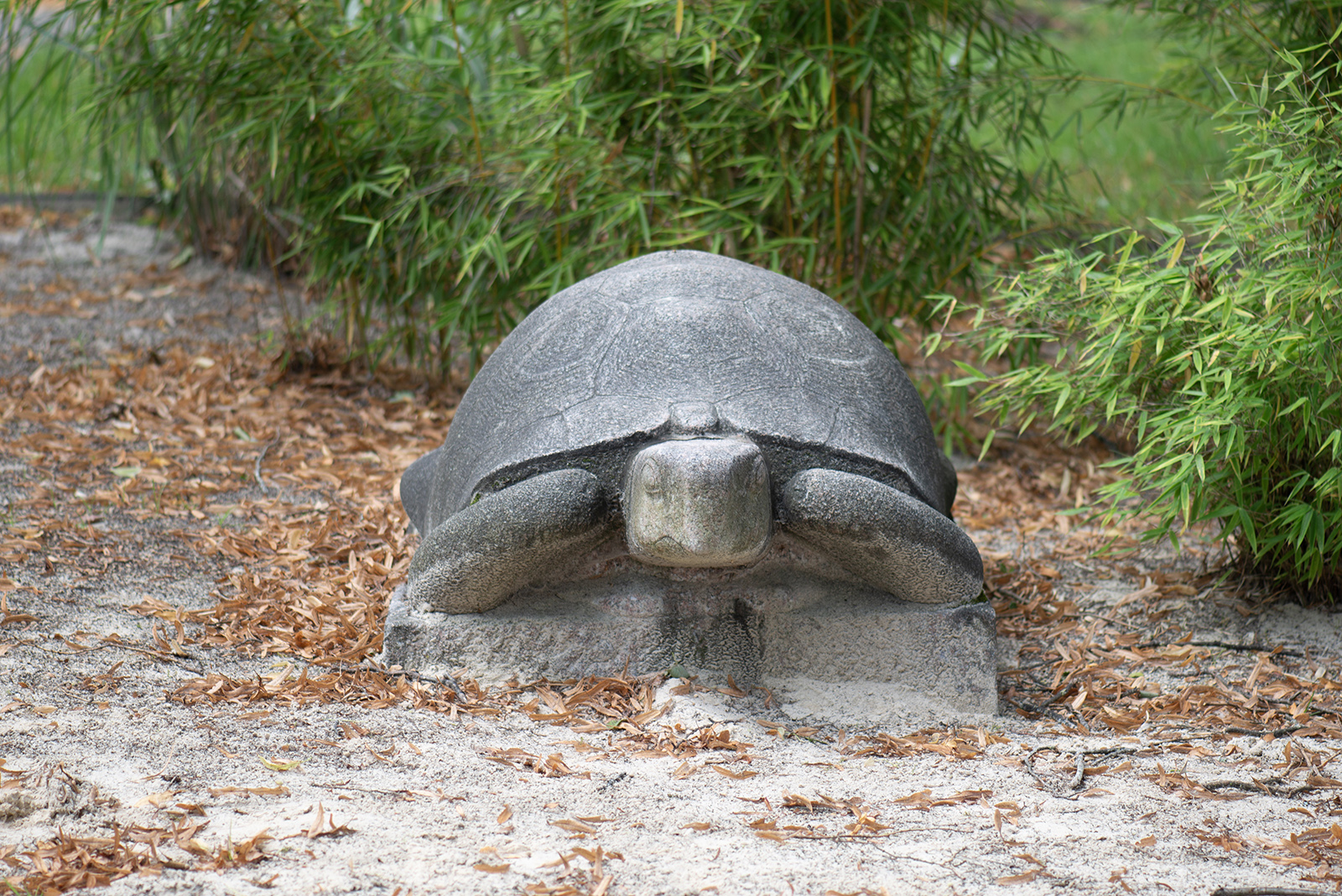 Klaus Kütemeier: Schildkröte (Foto: KUNST@SH/Jan Petersen, 2023)