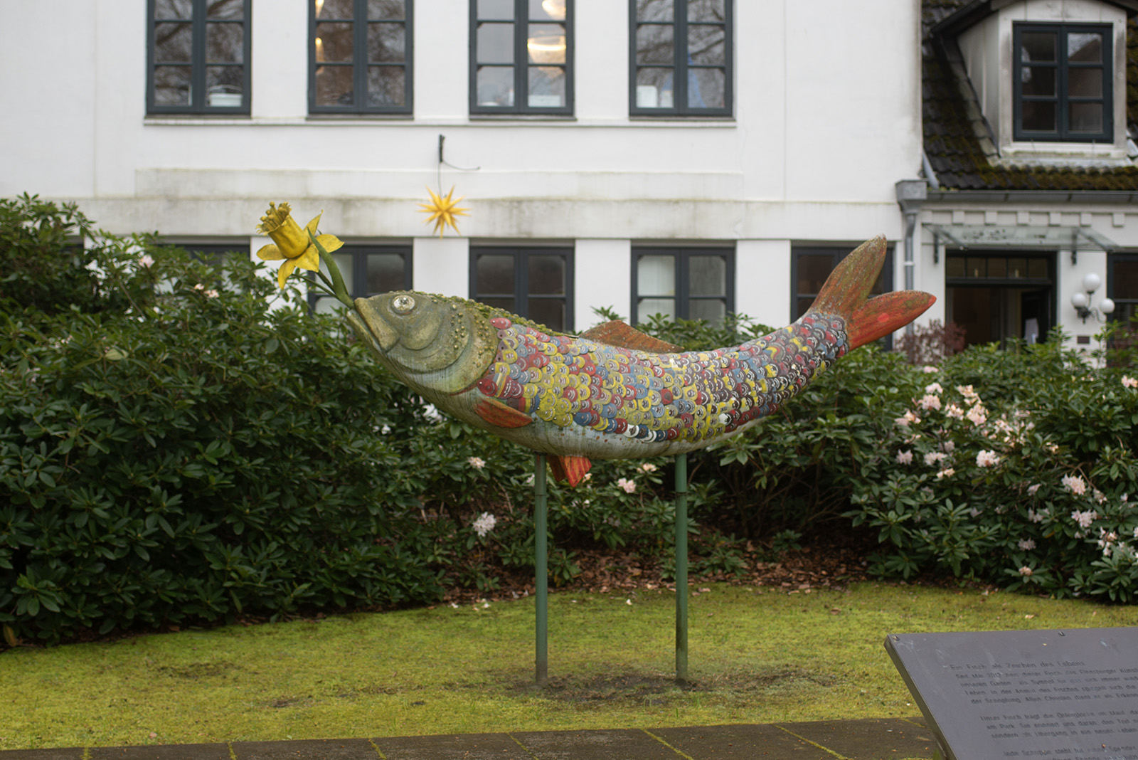 Hans Ruprecht Leiß: Spendenfisch (Foto: Kunst@SH/Jan Petersen, 2024)