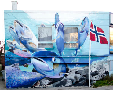 Fische in Norwegen, (Foto: KUNST@SH/Jan Petersen)