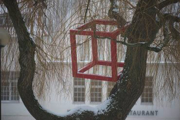 HD Schrader: Cube+Tree (Foto: KUNST@SH/Jan Petersen)