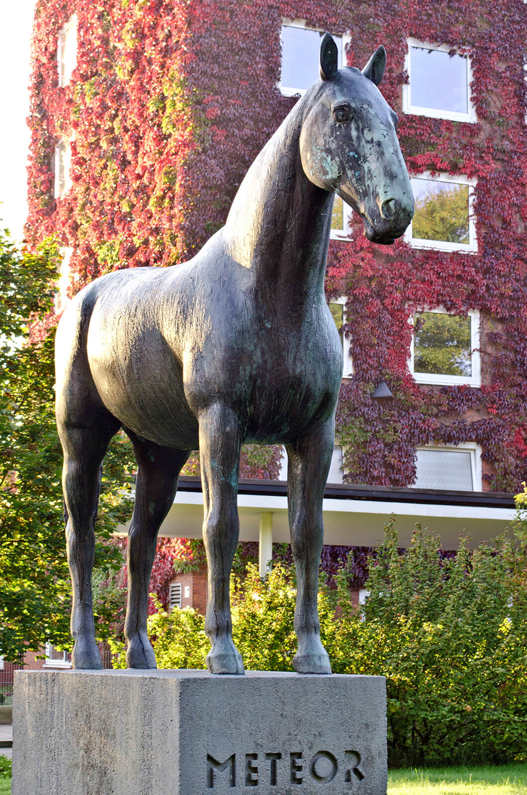 Hans Kock: Meteor, (Foto: KUNST@SH/Jan Petersen)