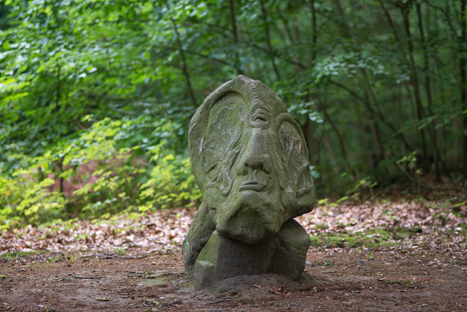 Harald Thoms: Angesichts des Waldsterbens, (Foto: KUNST@SH/Jan Petersen)