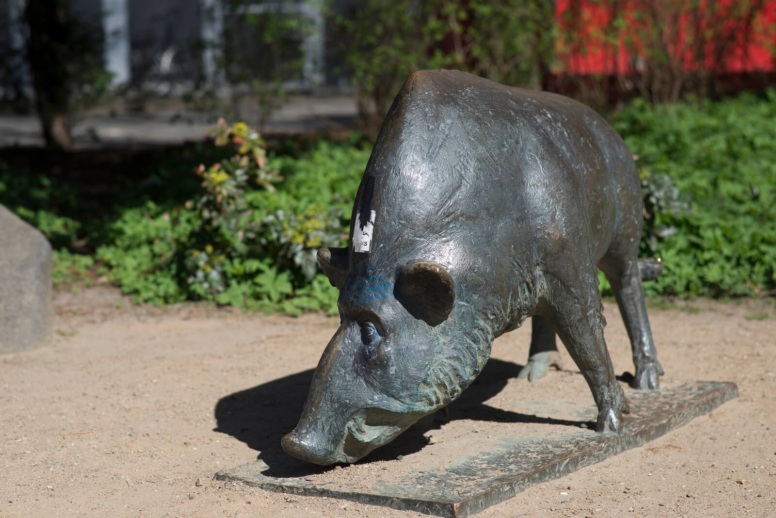 Wildschwein, (Foto: KUNST@SH/Jan Petersen)