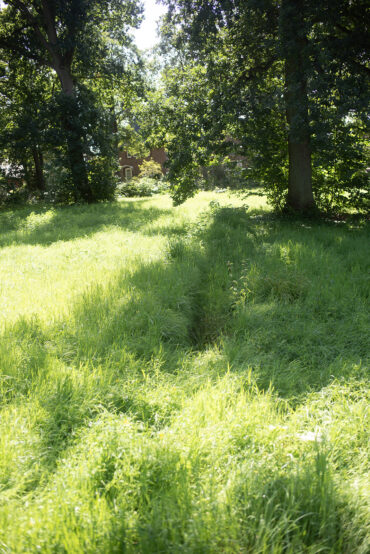 Svenja Döring: Grasskulptur (Foto: Kunst@SH/Jan Petersen, 2024)