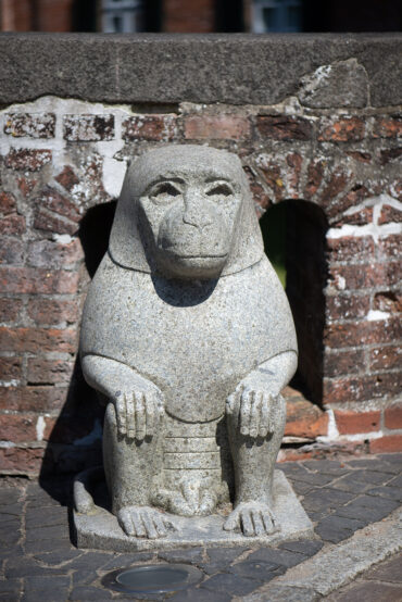 Kynokephaloi an der Schlossbrücke (Foto: Kunst@SH/Jan Petersen, 2024)